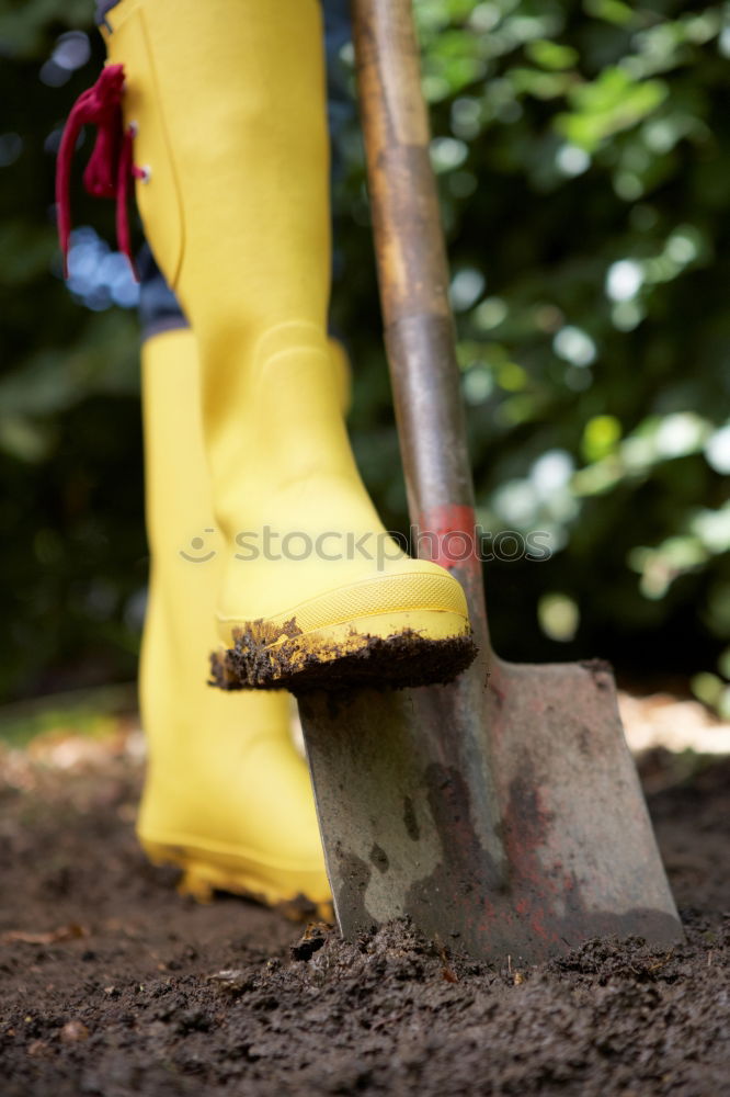 Similar – Planting potatoes