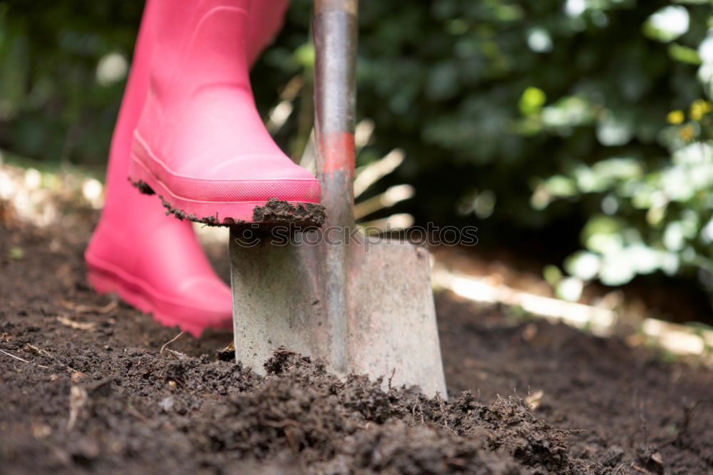 Similar – Image, Stock Photo flatten Garden Profession