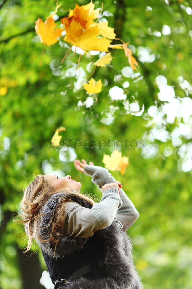 Similar – Image, Stock Photo Cat Lola in the garden