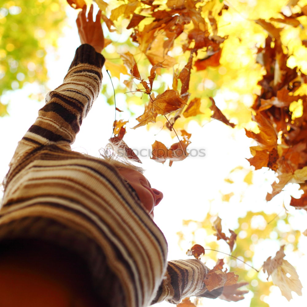 Similar – Image, Stock Photo pZ3 l Drying laundry on the clothesline