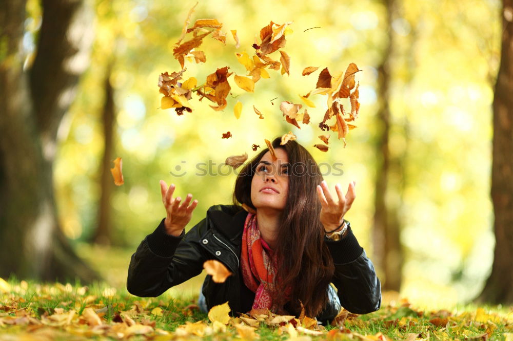 Similar – Image, Stock Photo autumn dreams Autumn Leaf