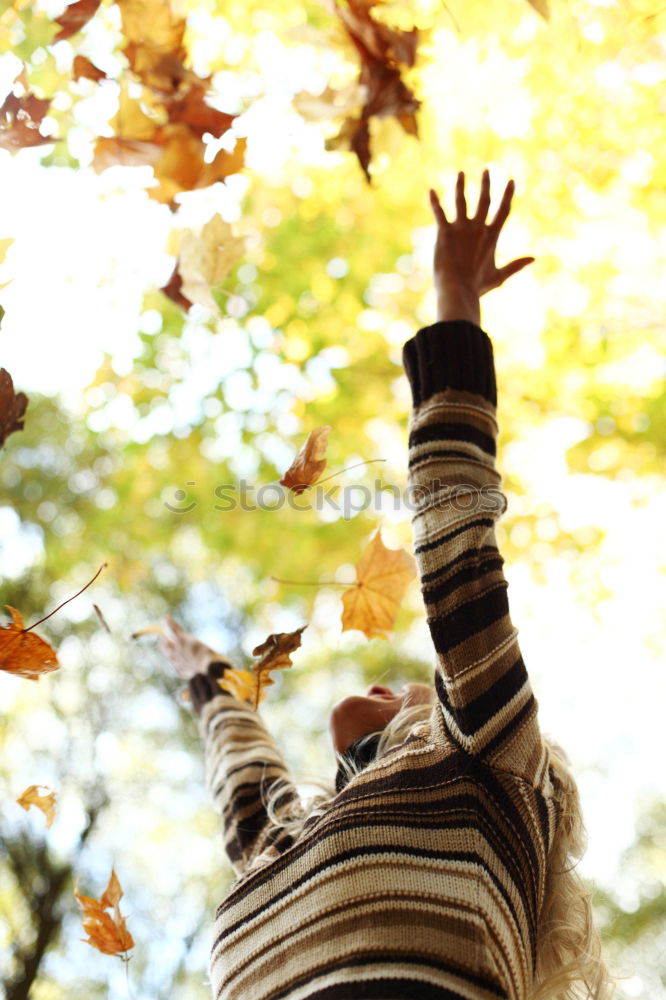 Similar – Image, Stock Photo pZ3 l Drying laundry on the clothesline