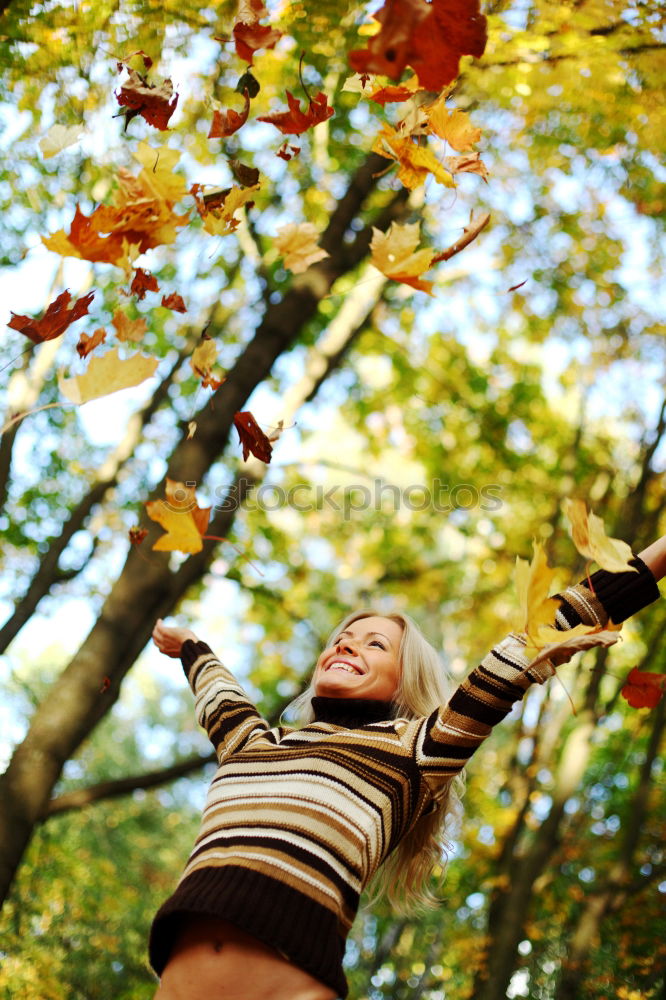 Similar – tree(s) Autumn Autumnal