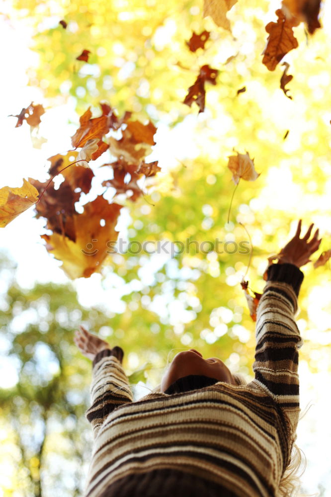 Similar – Image, Stock Photo pZ3 l Drying laundry on the clothesline