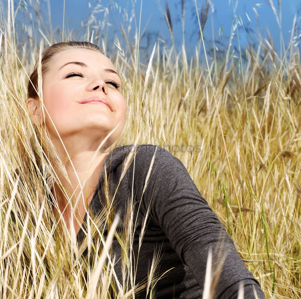 Similar – Sunbathing between blades of grass