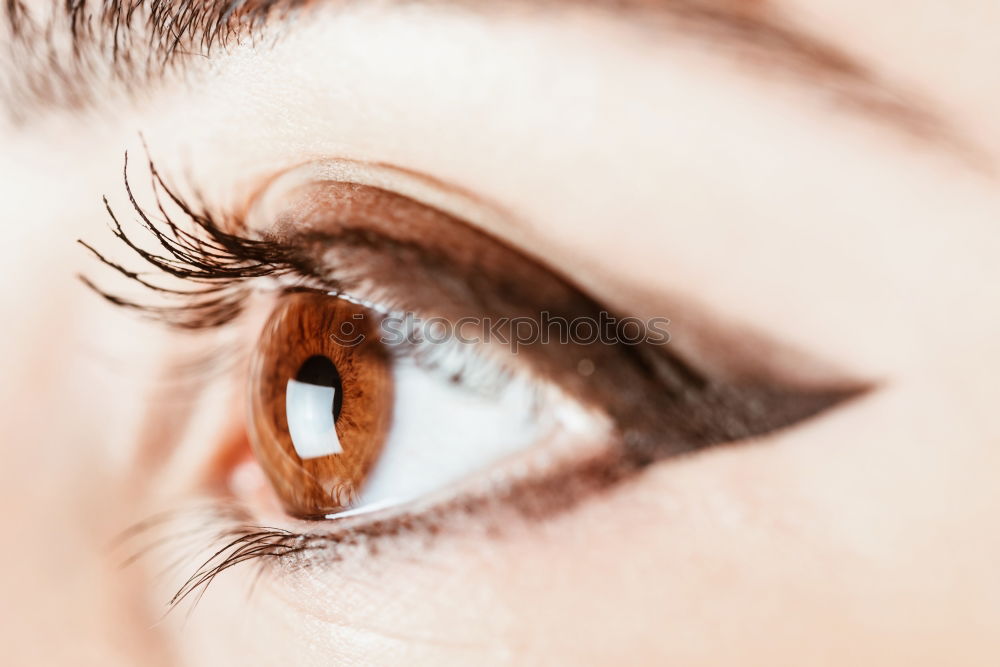 Similar – Closeup eye Human being