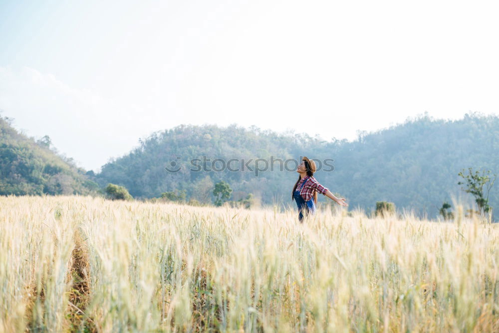 Similar – Image, Stock Photo kingfisher Safari Animal