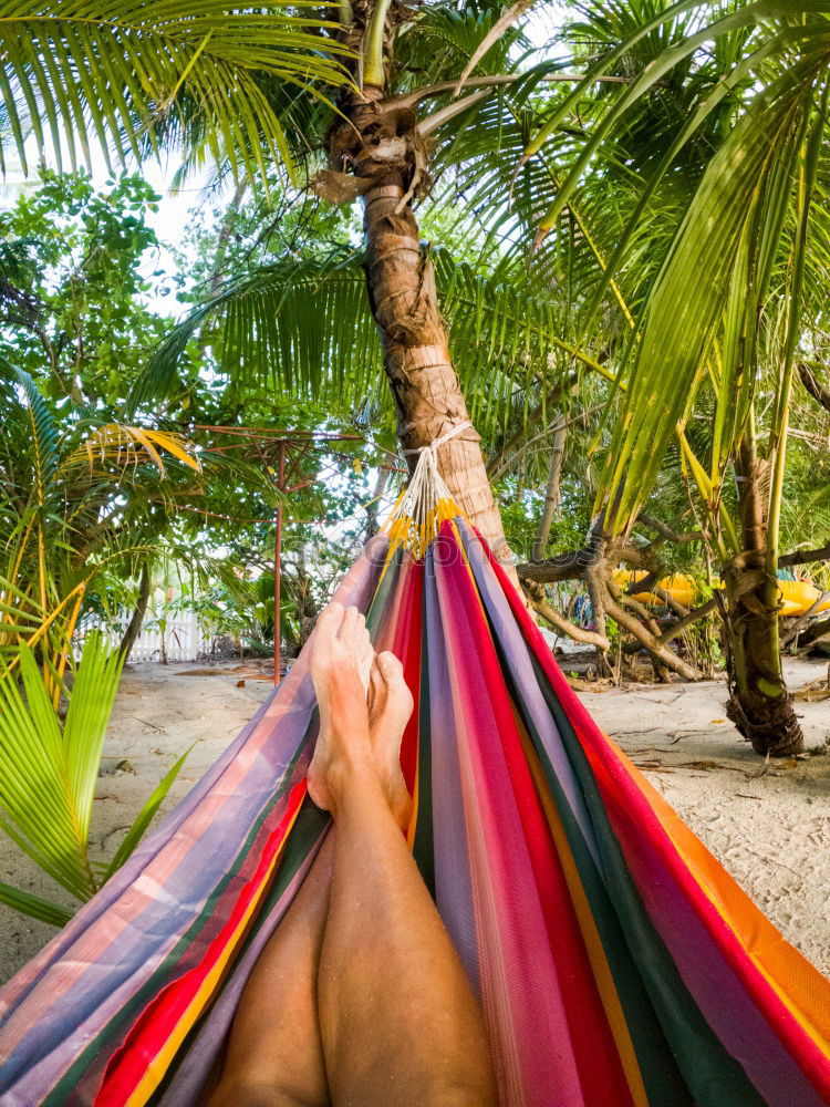 Similar – hammock Hammock