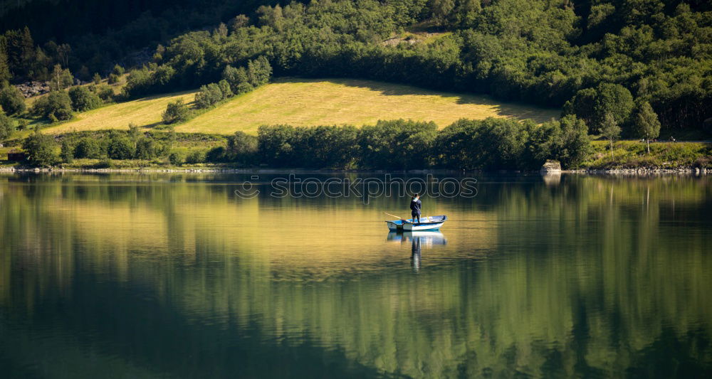 Similar – Jump in! Wood Lake Green