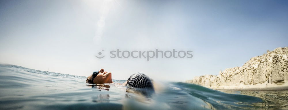 Similar – Image, Stock Photo beach horses Horse Foal