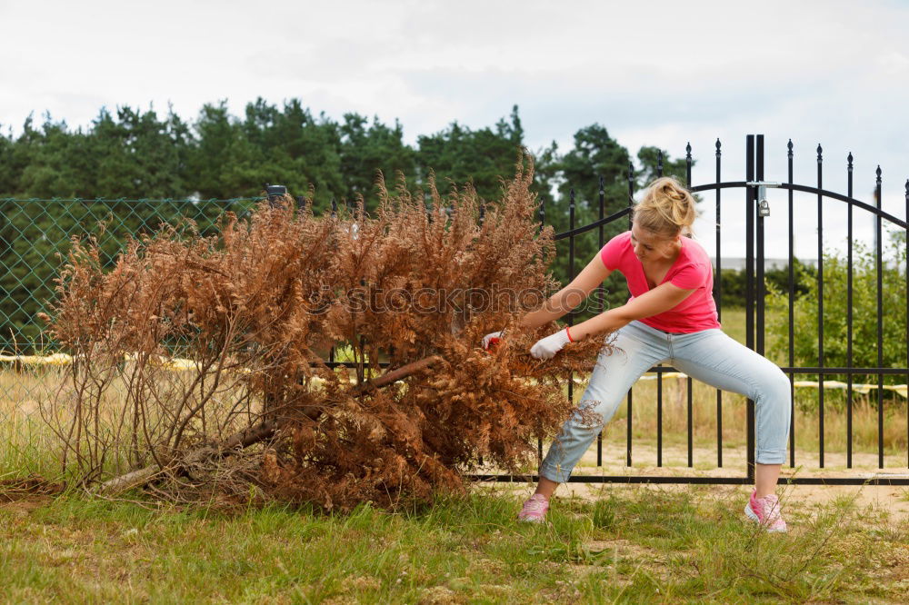 Similar – Foto Bild Hexenflug Sommer Garten