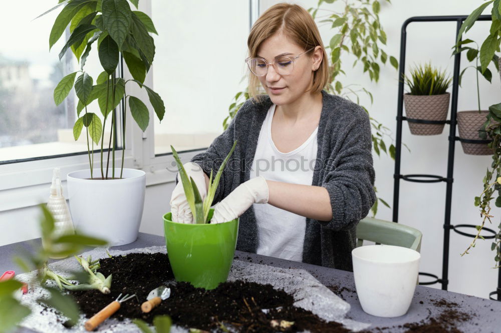 Similar – Image, Stock Photo Woman’s hands transplanting plant.