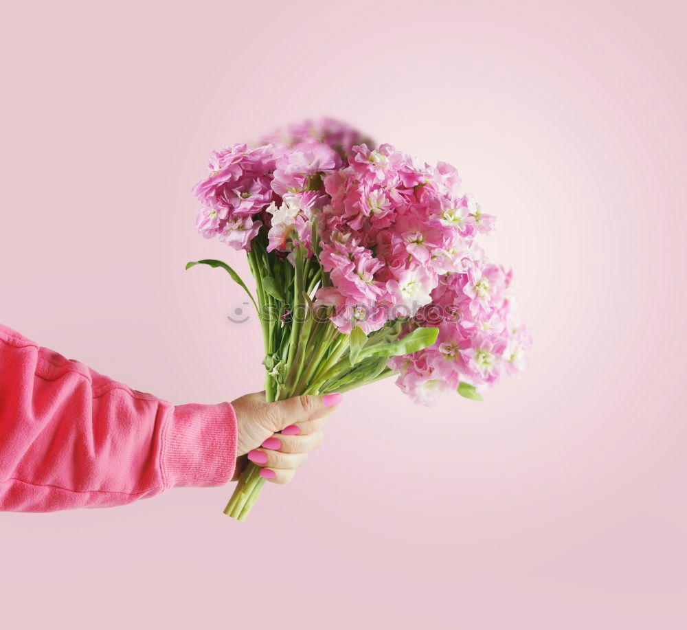 Similar – Image, Stock Photo Portrait of woman holding bouquet of flowers