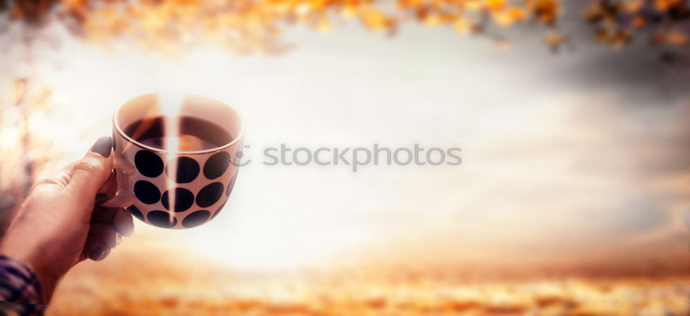 Similar – Image, Stock Photo crib Christmas & Advent