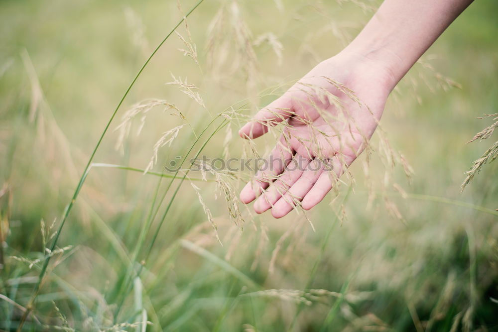 Similar – Image, Stock Photo Clap your hands say Yeah