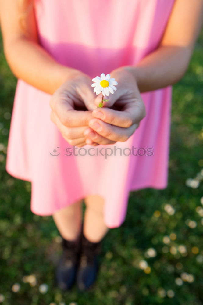 Similar – Small girl with a beautiful daisy