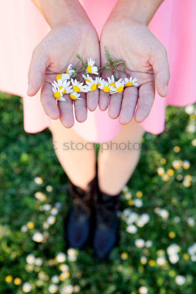 Small girl with a beautiful daisy