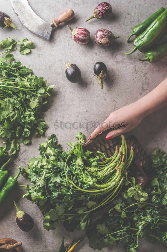 Similar – Image, Stock Photo Cooked green cabbage in a saucepan