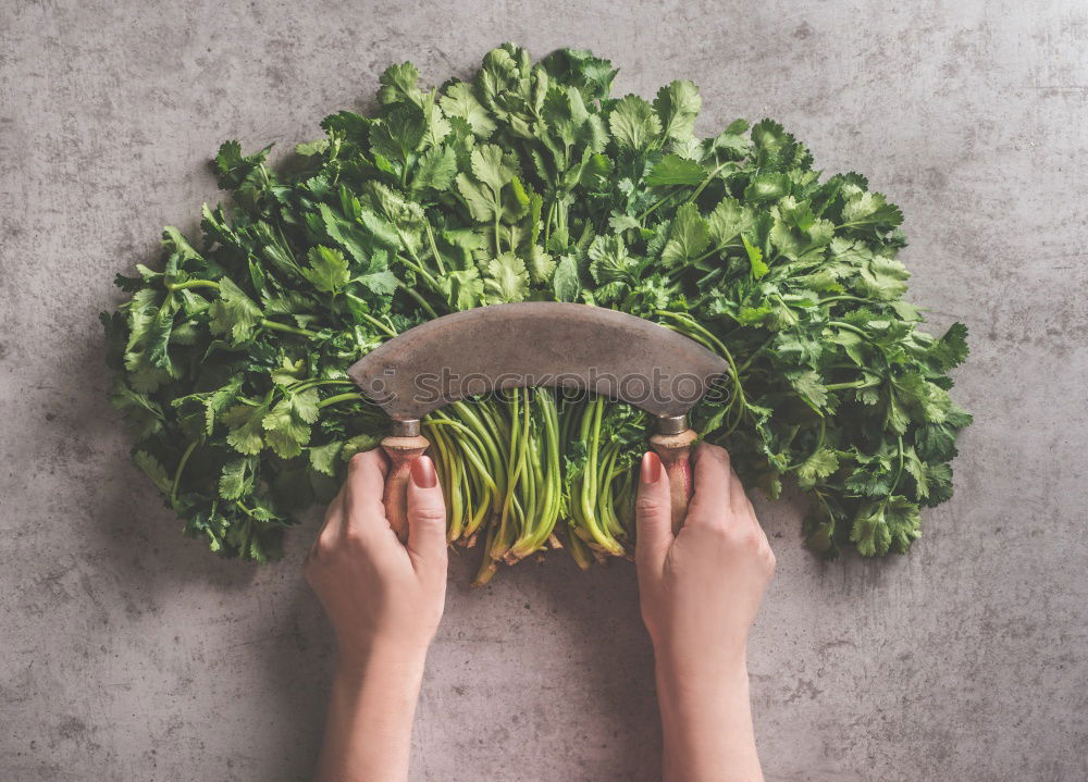 Similar – Image, Stock Photo Vegan girl holding a bunch of swiss cahrd