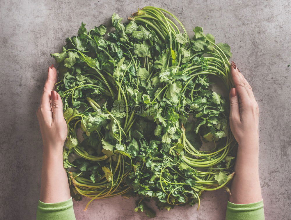 Similar – Image, Stock Photo Vegan girl holding a bunch of swiss cahrd