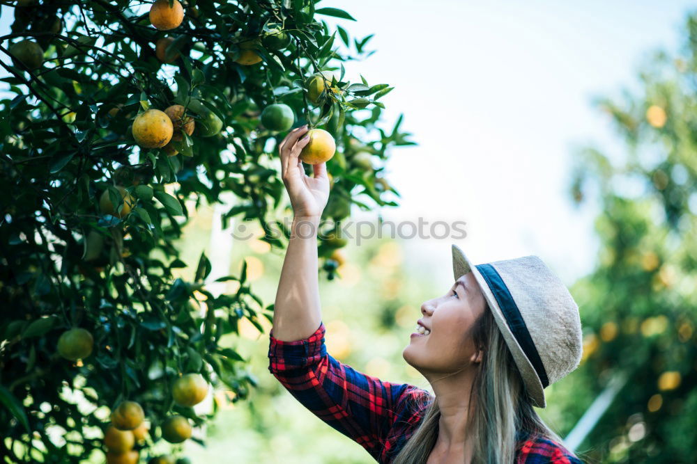 Similar – Young black woman eating a grape in a vineyard