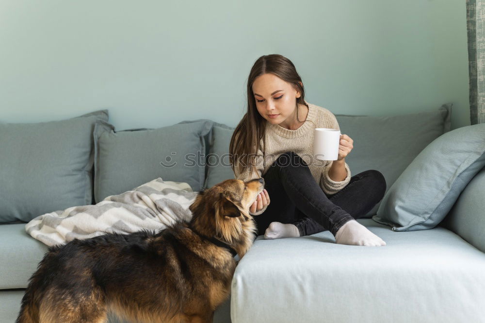 Similar – Foto Bild Junge Frau sitzt mit einem Tablet auf einem kleinen Hund auf einem grauen Sofa