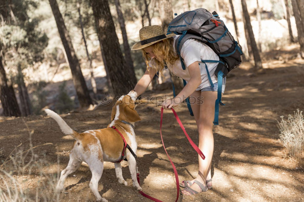 Image, Stock Photo Holiday with the dog