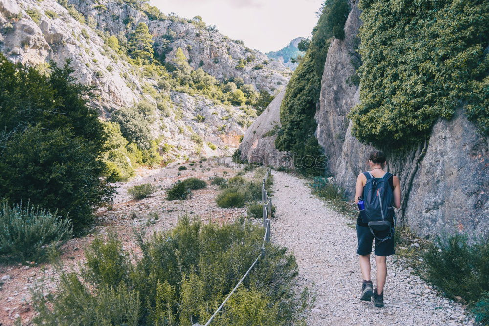 Similar – Man with camera walking in a rural road