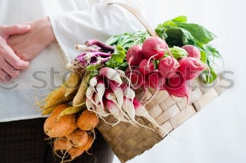 Similar – Image, Stock Photo Children’s hands holding pole beans