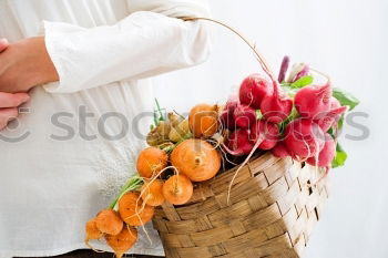 Similar – Image, Stock Photo Children’s hands holding pole beans