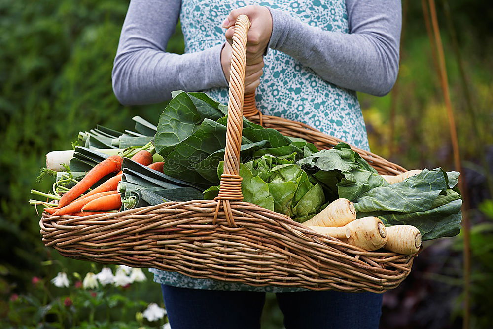 Similar – Image, Stock Photo Vegetable harvest;