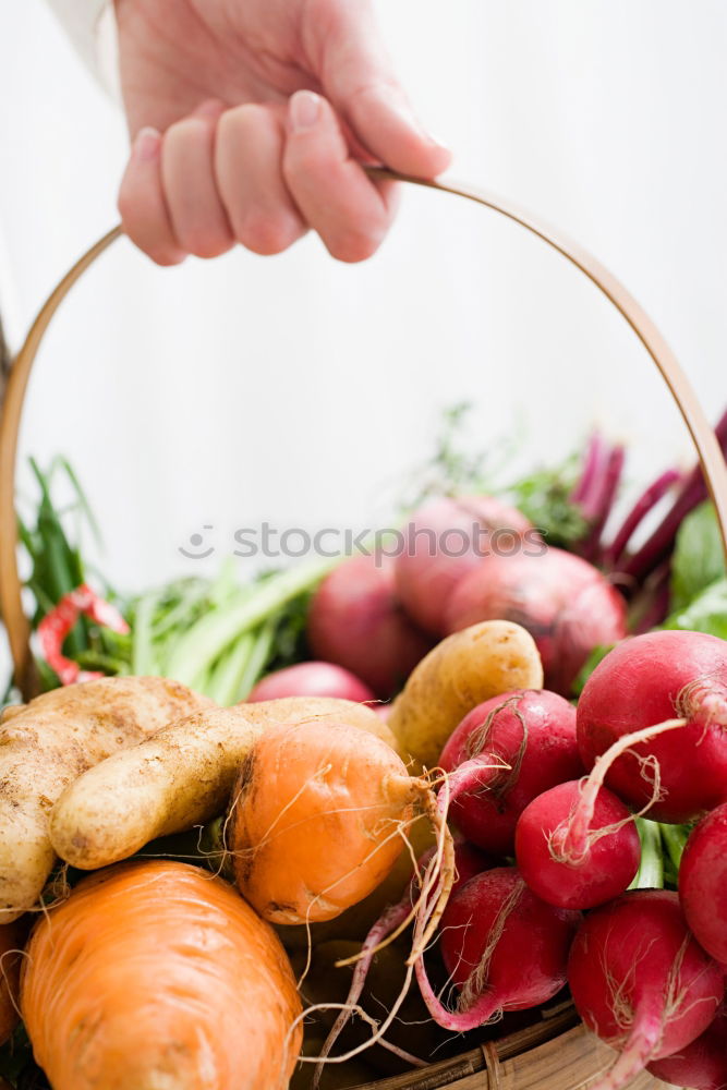 Similar – female human hand holding three large orange carrot