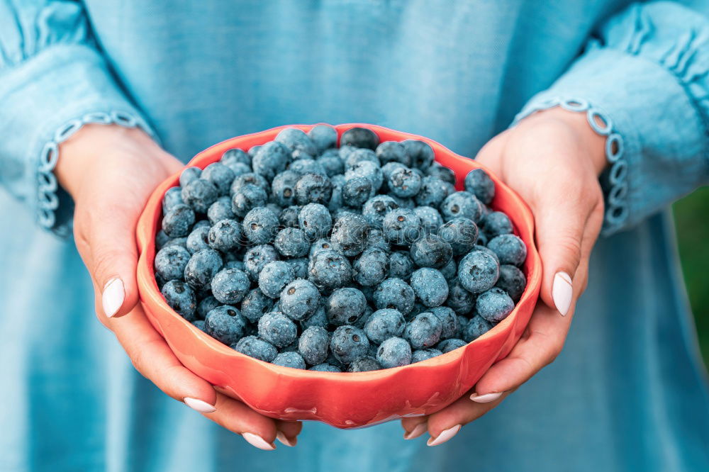 Similar – Image, Stock Photo fresh blueberry harvest