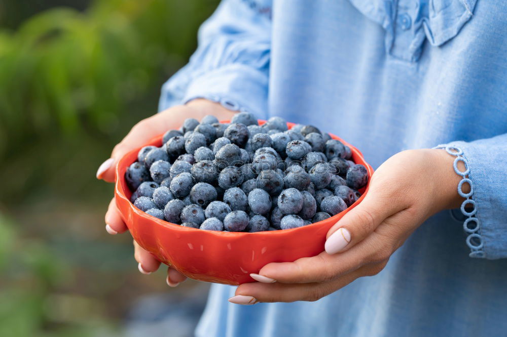 Similar – Girl enjoying eating the fresh blueberries outdoors