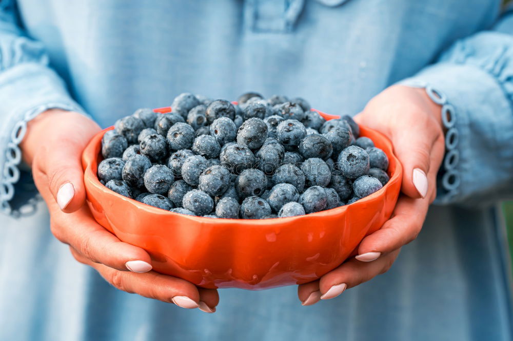 Similar – Girl enjoying eating the fresh blueberries outdoors