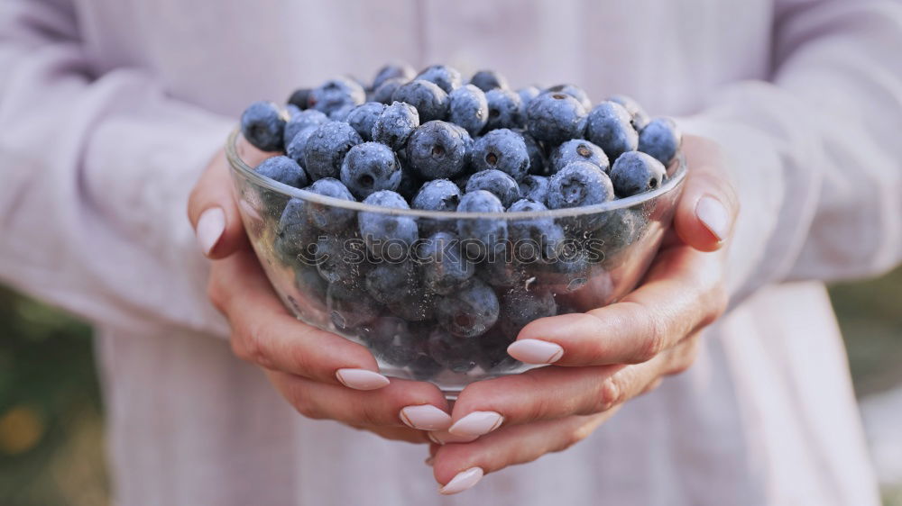 Similar – Image, Stock Photo fresh blueberry harvest