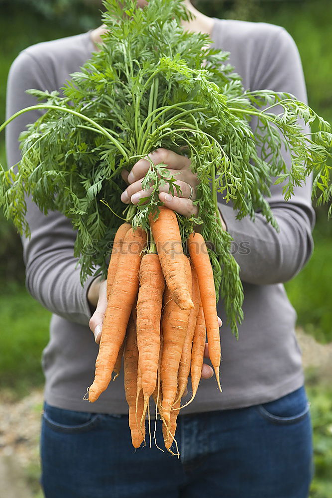 Similar – baby carrot Food Vegetable