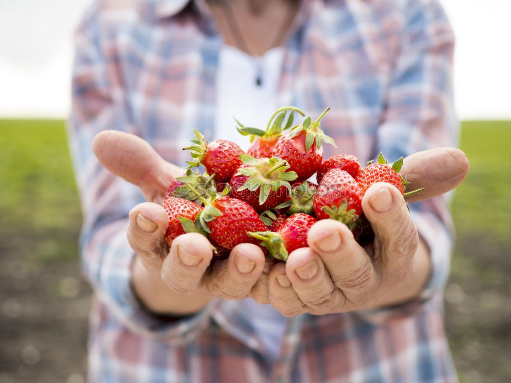 Similar – Image, Stock Photo Woman hold bunch of radishes