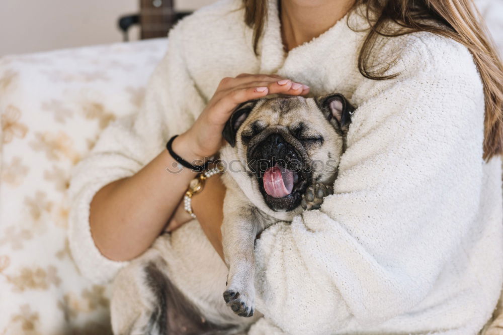 Similar – Foto Bild Junge Frau sitzt mit einem Tablet auf einem kleinen Hund auf einem grauen Sofa