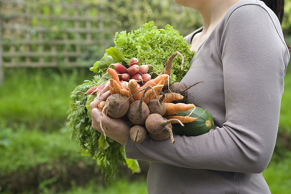 Similar – Image, Stock Photo harvest-fresh vegetables