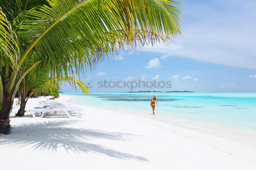 Similar – Image, Stock Photo Saona Island near Punta Cana, Dominican Republic