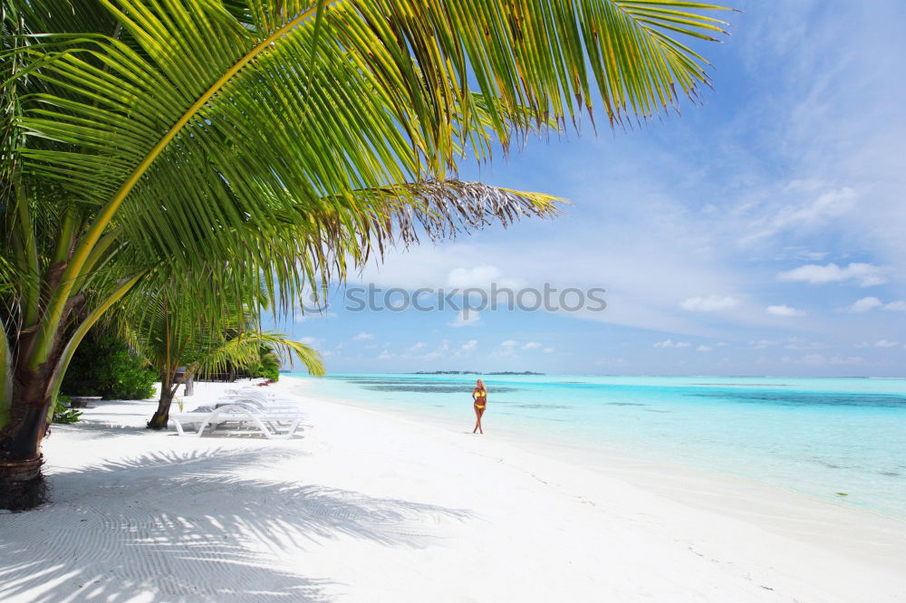 Similar – Image, Stock Photo Saona Island near Punta Cana, Dominican Republic