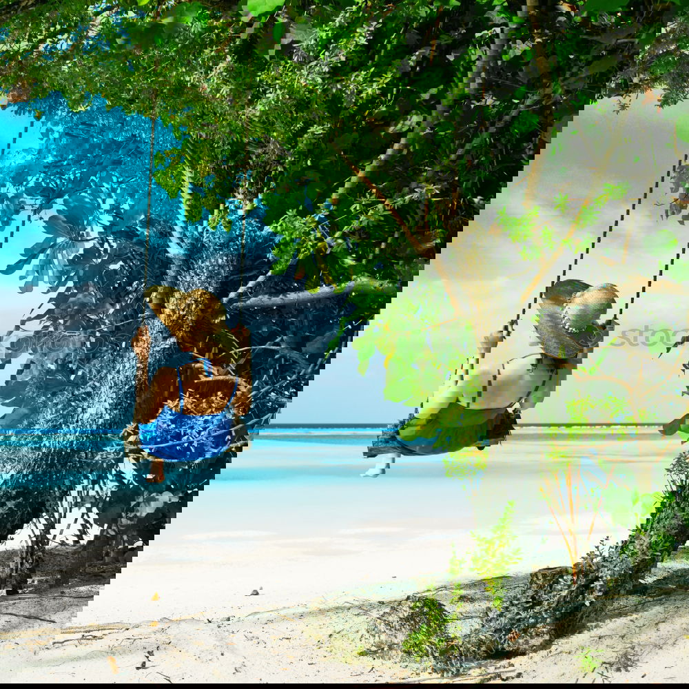 Similar – Image, Stock Photo boot time