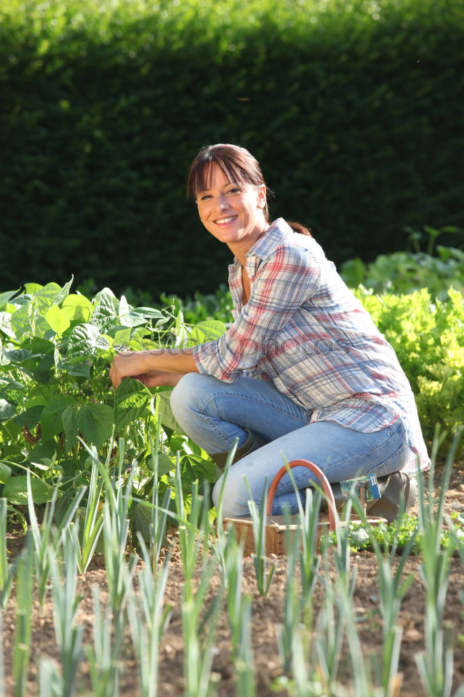 Similar – Image, Stock Photo Vegetable harvest;