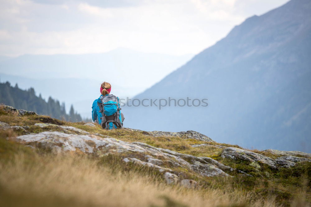 Similar – Image, Stock Photo Summer in Tyrol