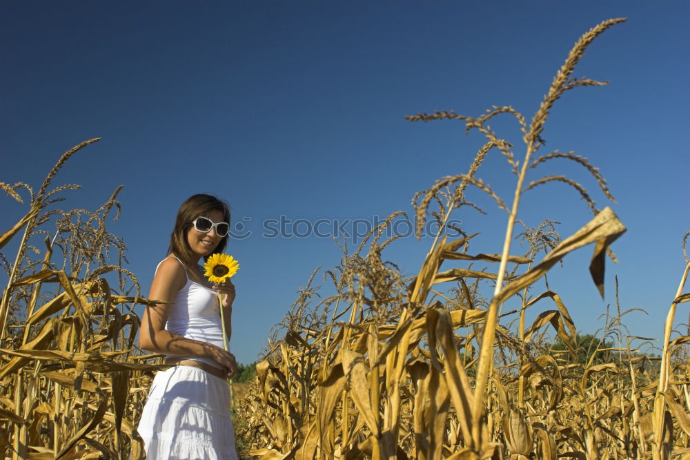 Similar – Foto Bild meine Welt Feld Sommer