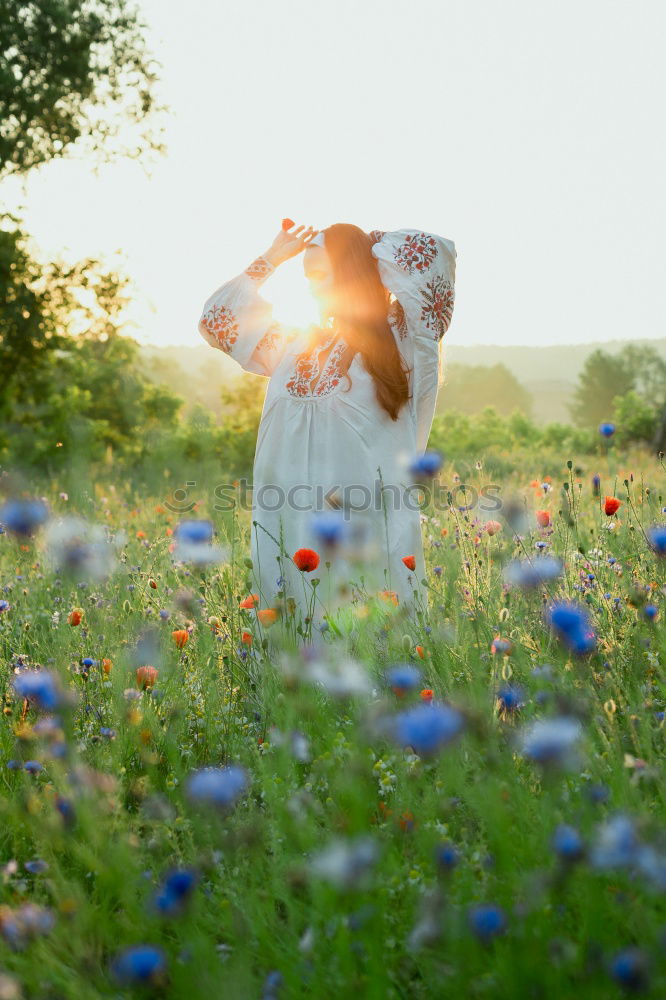 Image, Stock Photo Holla the forest fairy.