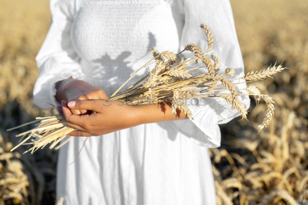 Similar – Foto Bild frau im kornfeld Kleid