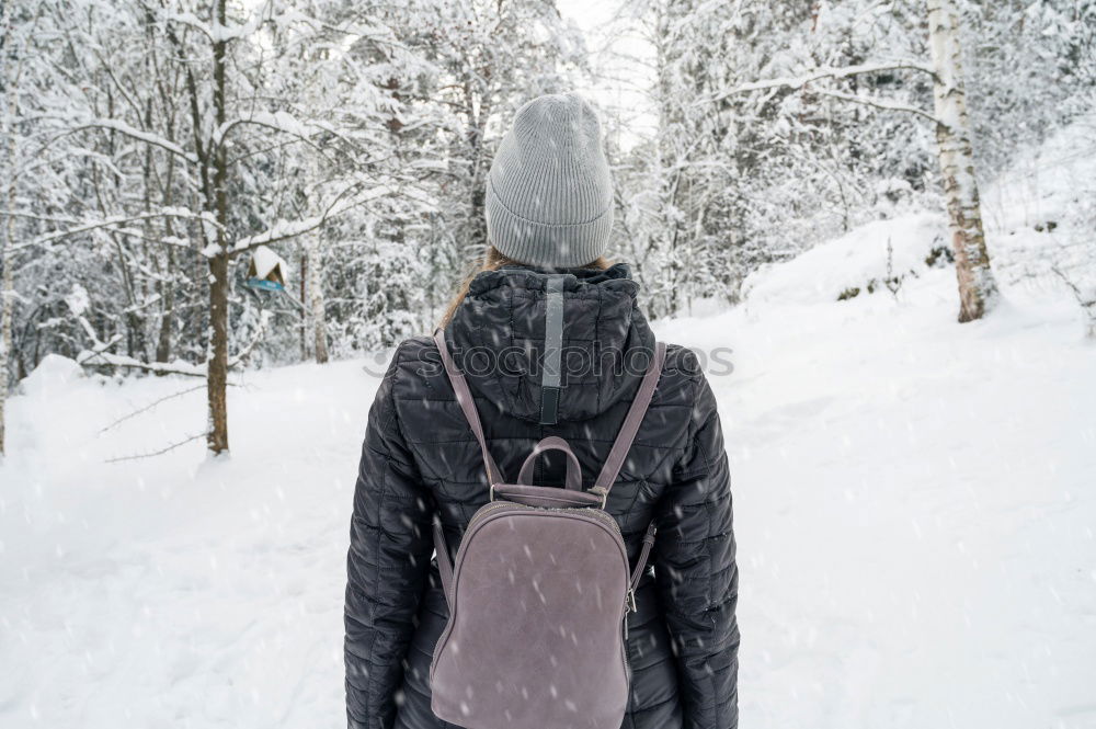 Similar – Image, Stock Photo tourism Snow Winter Ice