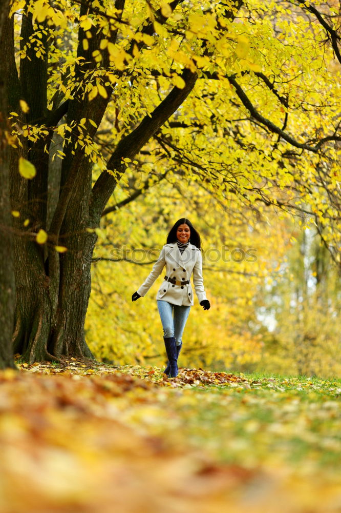 Similar – Image, Stock Photo Pedestrian in autumn